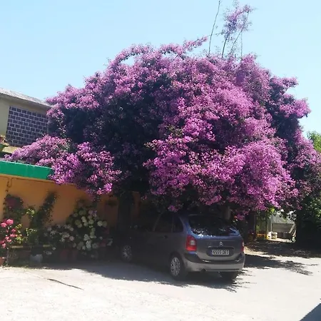 O Corisco Hostel Redondela