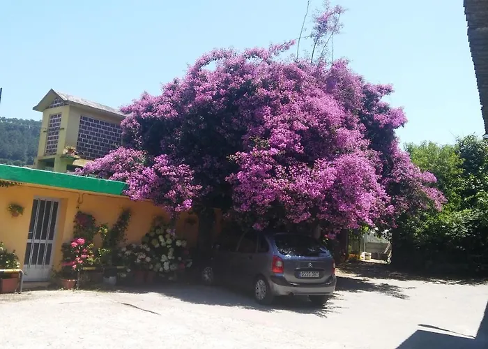 O Corisco Hostel Redondela